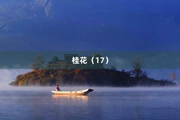 桂花（17）
