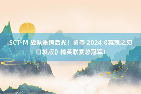 SCT-M 战队重铸后光！勇夺 2024《英魂之刃口袋版》精英联赛总冠军！