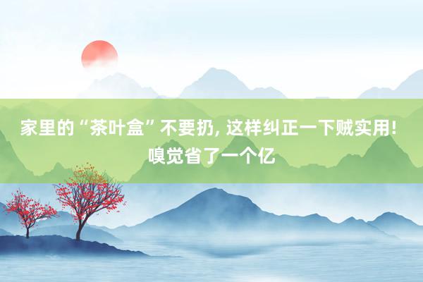 家里的“茶叶盒”不要扔, 这样纠正一下贼实用! 嗅觉省了一个亿
