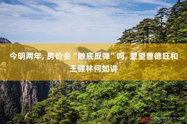 今明两年, 房价会“触底反弹”吗, 望望曹德旺和王健林何如讲