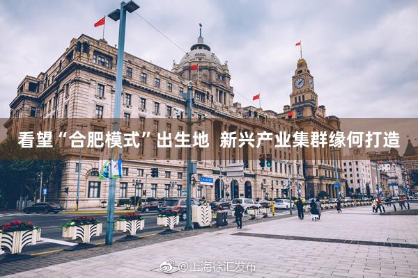 看望“合肥模式”出生地  新兴产业集群缘何打造