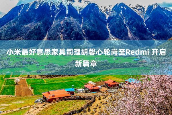 小米最好意思家具司理胡馨心轮岗至Redmi 开启新篇章