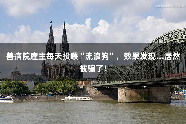 兽病院雇主每天投喂“流浪狗”，效果发现...居然被骗了！