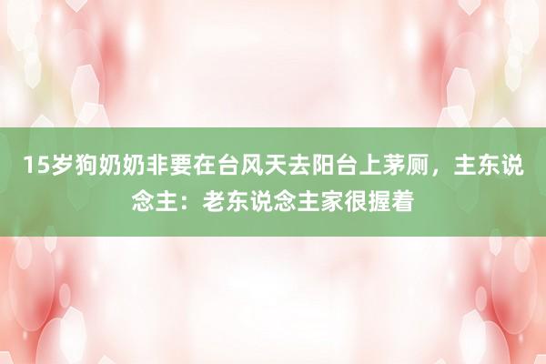 15岁狗奶奶非要在台风天去阳台上茅厕，主东说念主：老东说念主家很握着