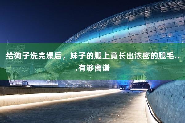给狗子洗完澡后，妹子的腿上竟长出浓密的腿毛...有够离谱