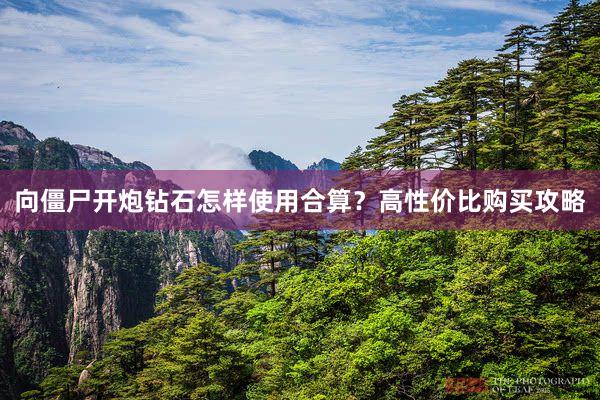 向僵尸开炮钻石怎样使用合算？高性价比购买攻略