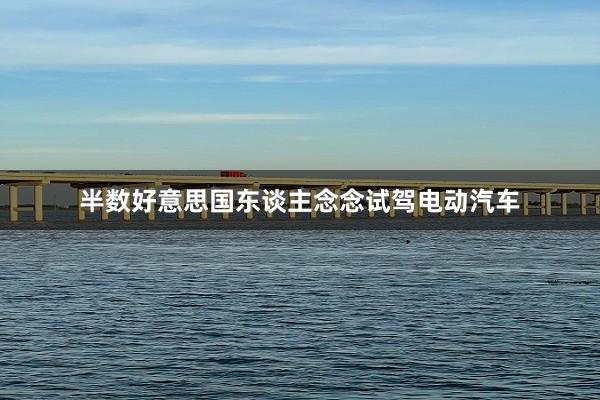 半数好意思国东谈主念念试驾电动汽车