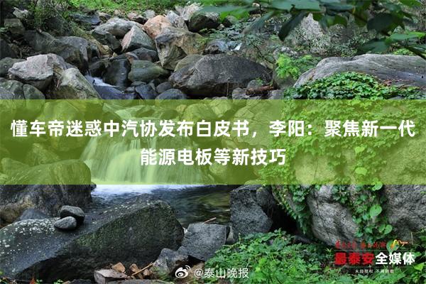 懂车帝迷惑中汽协发布白皮书，李阳：聚焦新一代能源电板等新技巧
